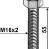 Bolt M16x2x55