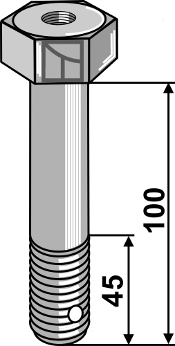 Bolt M20x100 - 10.9