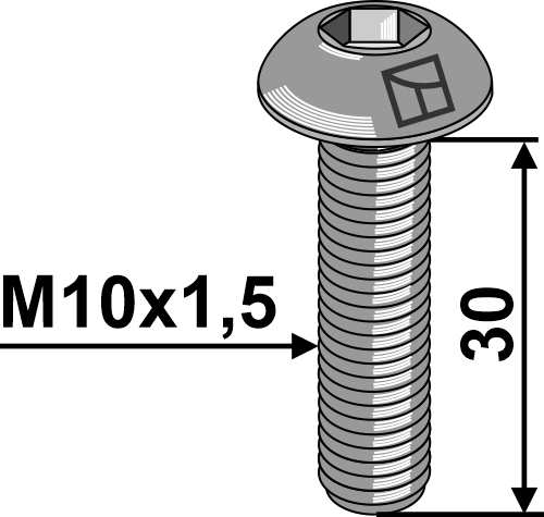 Bræddebolt M10x1,5x30