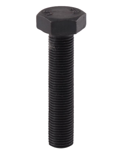 Bolt M10x1,5x70 u. møtrik