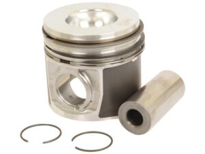 Stempel m/ringe