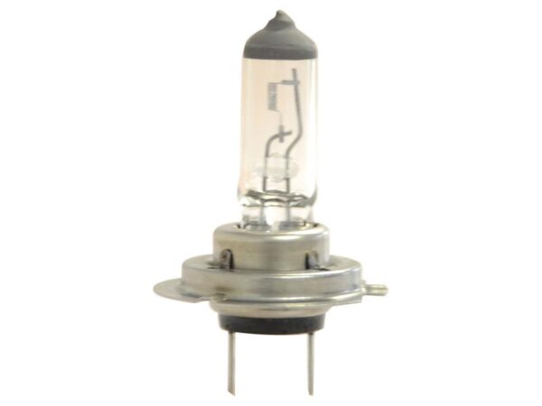 Pære H7, 12V, 55W, PX26d (Kasse 1 stk.)