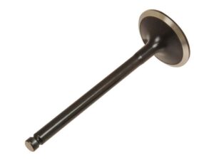 Ventil (indsugning)