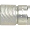 Test Nipple 1/8 NPTF