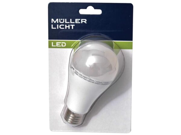 LED Lyspære (LED), 230V, 12W, E27