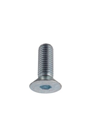 Bolt M12x1,75x35 - 10.9 ISO10642 galvanized