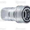 Faster Lynkobling Hun 1/2'' Krop tommer x 1/2'' BSP Hun