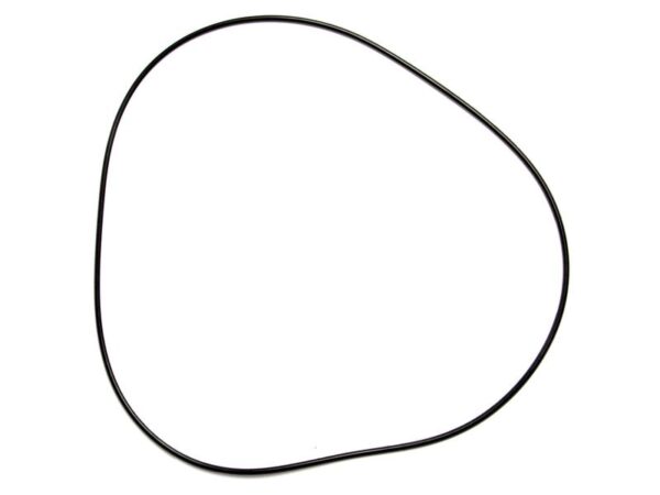 148134_pic1 O-Ring Stempel.