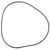 O-Ring Stempel.