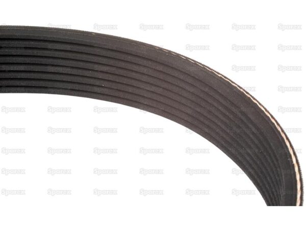 Ribrem (Poly-V) 10PK1815