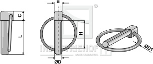 Special Ringsplit