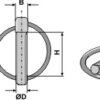 Special Ringsplit