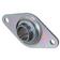 Sparex Flangeleje (2 huls) (RRTY35)