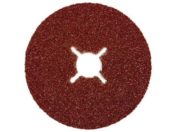 164786_pic1 Fiberslibeskive Ø125 x 22mm 120g