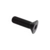 Umbracobolt M16x2x55 - 10.9 u. møtrik