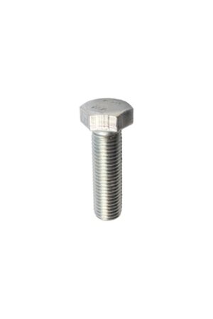 165593310v Bolt M16x2x55 u. møtrik - galvaniseret