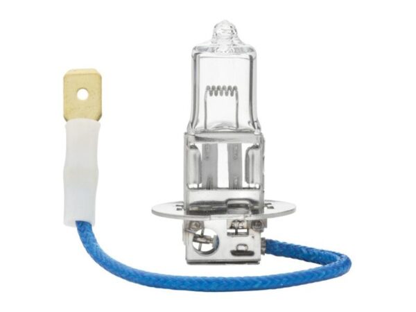 165689_pic1 Pære H3, 24V, 70W, PK22s (Kasse 1 stk.)