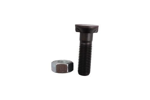 Plovbolt M16x2x60 med møtrik