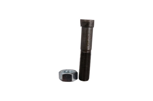 Plovbolt M16x2x85 med møtrik