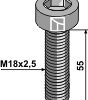 Umbracobolt M18x2,5x55 - 12.9 u. møtrik