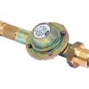 Fugleafviser - regulator
