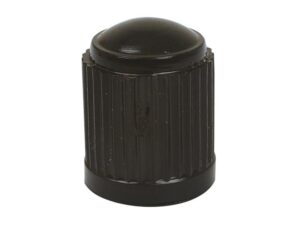 TYRE VALVE CAP-PLASTIC