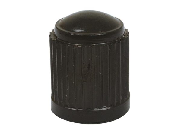 TYRE VALVE CAP-PLASTIC