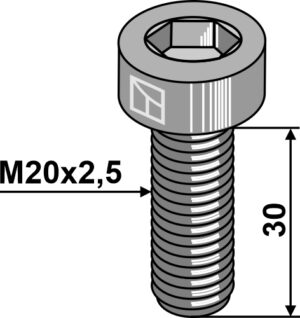 Umbraco bolt M20x2,5 - 10.9