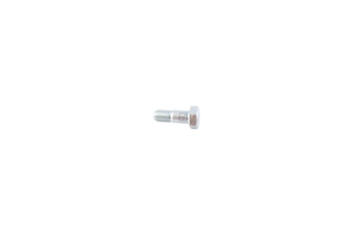 Bolt M8x1,25x23 - 8.8