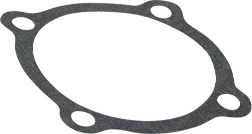 Paknings ring