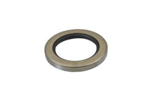 Paknings ring