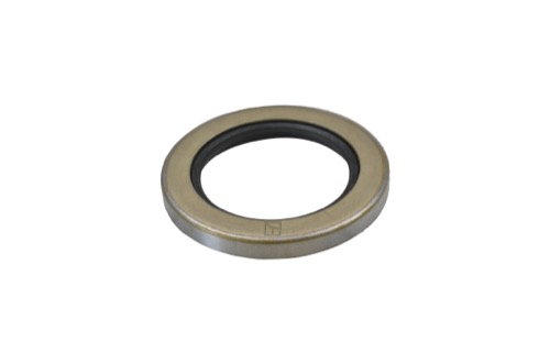 Paknings ring
