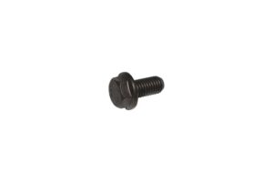 Bolt M10x1,5x20