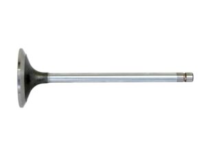 Ventil (indsugning)