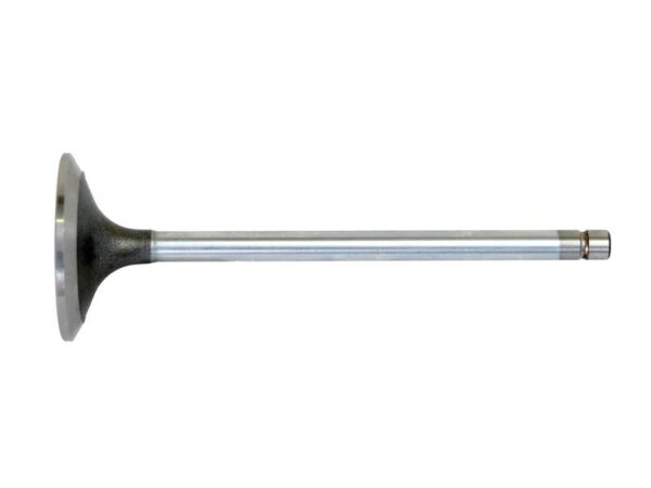 Ventil (indsugning)