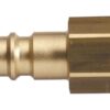 Plug Female BSPP - 1/4''