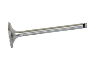 Ventil (indsugning)