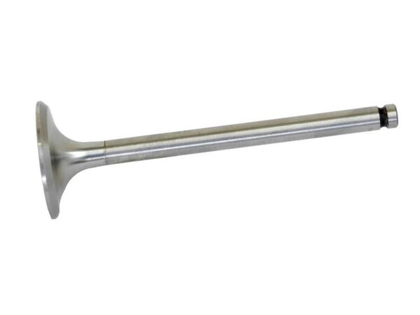 Ventil (indsugning)