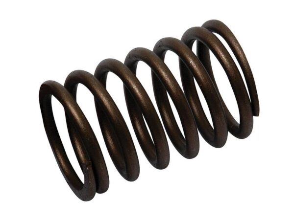 Ventilfjeder (ud)