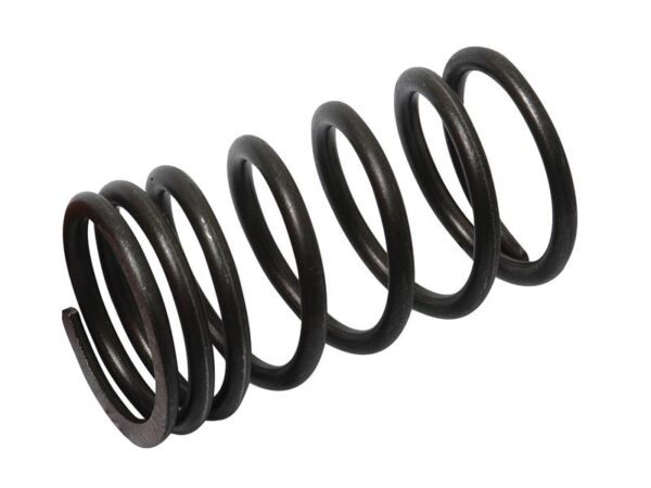 Ventilfjeder (ud)