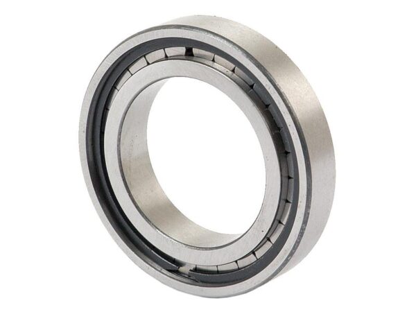 Sparex Rullelejer (cylindrisk) (F32350)