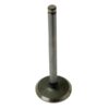 41747_pic1 Ventil (indsugning)