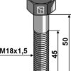 Bolt M18x1,5x55 - 10.9