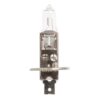 Pære H1, 12V, 55W, P14.5s (Kasse 1 stk.)