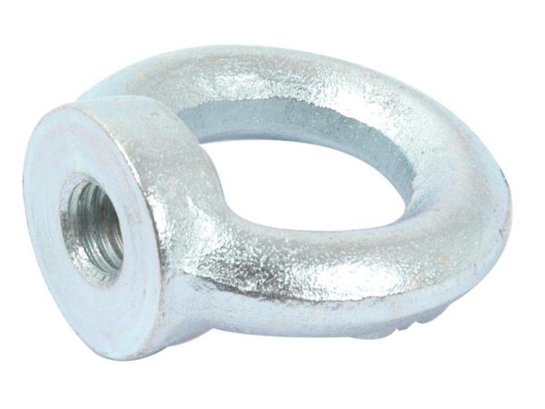 Øjemøtrik, Størrelse: M10xØ25mm (DIN 582) Metric Coarse
