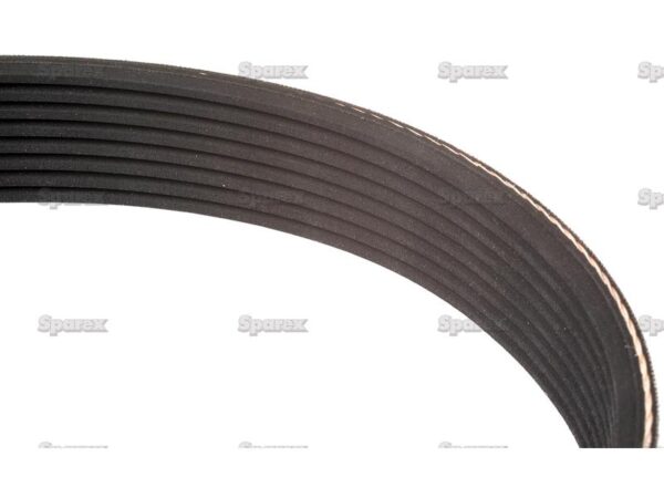 Ribrem (Poly-V) 8PK1460