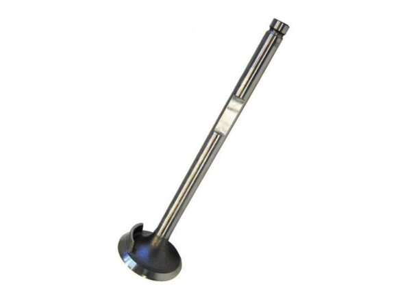 Ventil (indsugning)