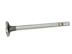 Ventil (indsugning)