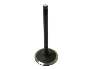 Ventil (indsugning)