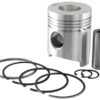 Stempel m/ringe